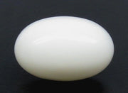 6.70/CT White Coral with Govt. Lab Certified (1500)